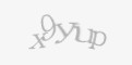 Защитный код