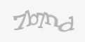 Защитный код