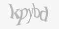Защитный код