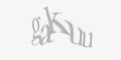 Защитный код